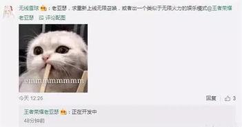 策划八哥爆料视频大全,视频大全背后的精彩故事  第3张