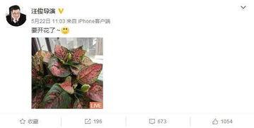 最新爆料锦集,独家内幕大公开！  第2张